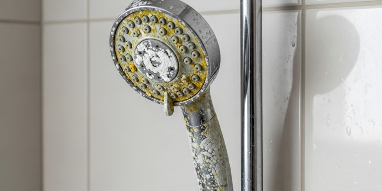 Aprenda a remover o calcário do chuveirinho e recuperar a pressão da água de forma simples e rápida