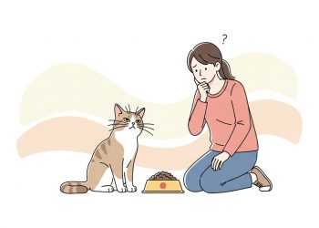 Se o seu gato parou de comer do nada, isso pode indicar um problema