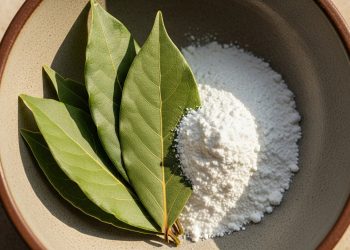 Misturar louro e bicarbonato de sódio: por que é recomendado e para que serve?