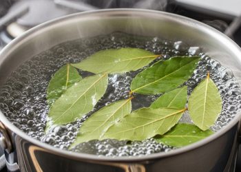 Ferver folhas de louro com vinagre: por que é recomendado e quais são os benefícios?