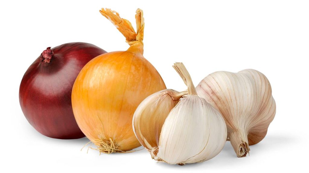 alho e cebola 