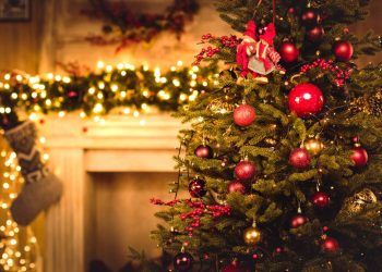 Prepare para o Natal! Técnica fácil para deixar a árvore impecável