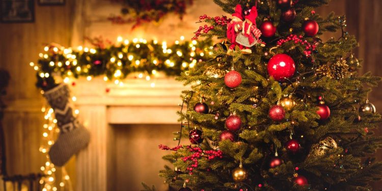 Prepare para o Natal! Técnica fácil para deixar a árvore impecável