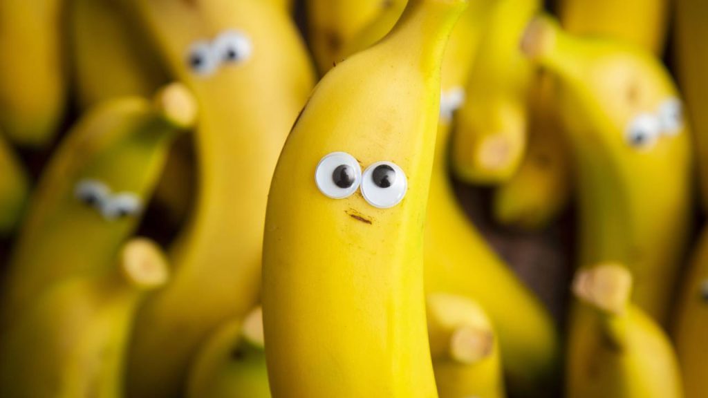 A maneira certa de manter bananas frescas por mais tempo na cozinha