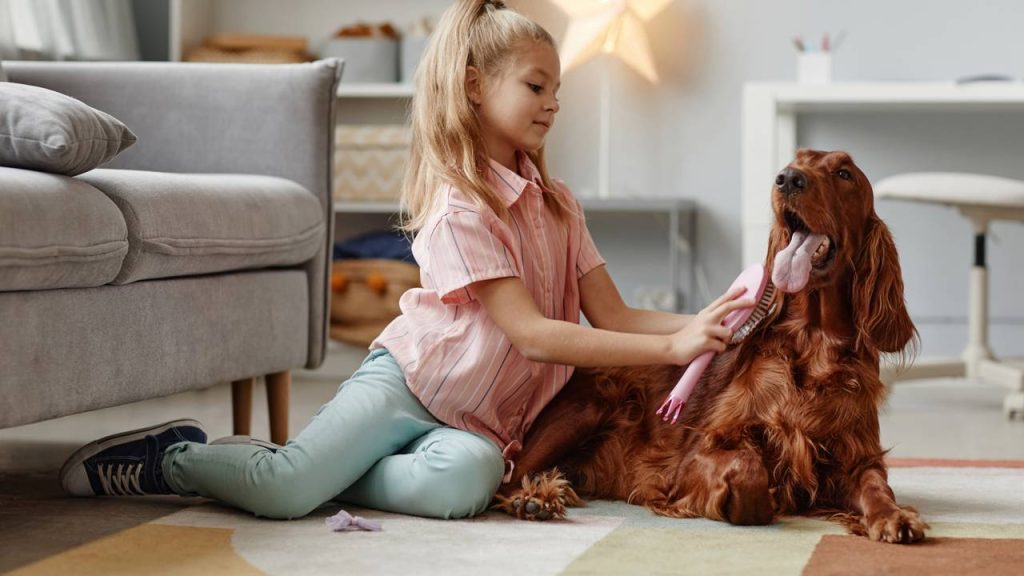 Evite pelos pela casa com essas dicas de escovação para seu cachorro