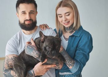 As 8 melhores raças de cães para morar em apartamento