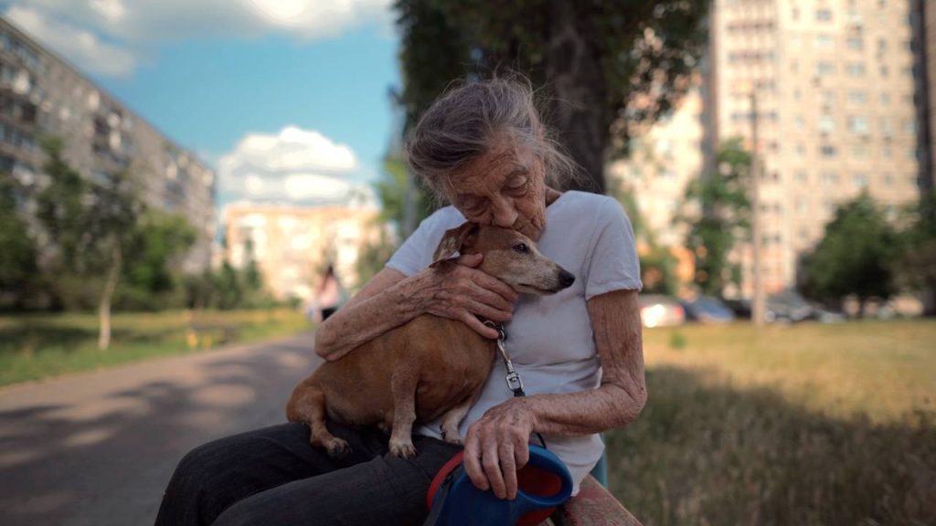 Top 6 cães que convivem bem com idosos e tornam a rotina mais leve e segura