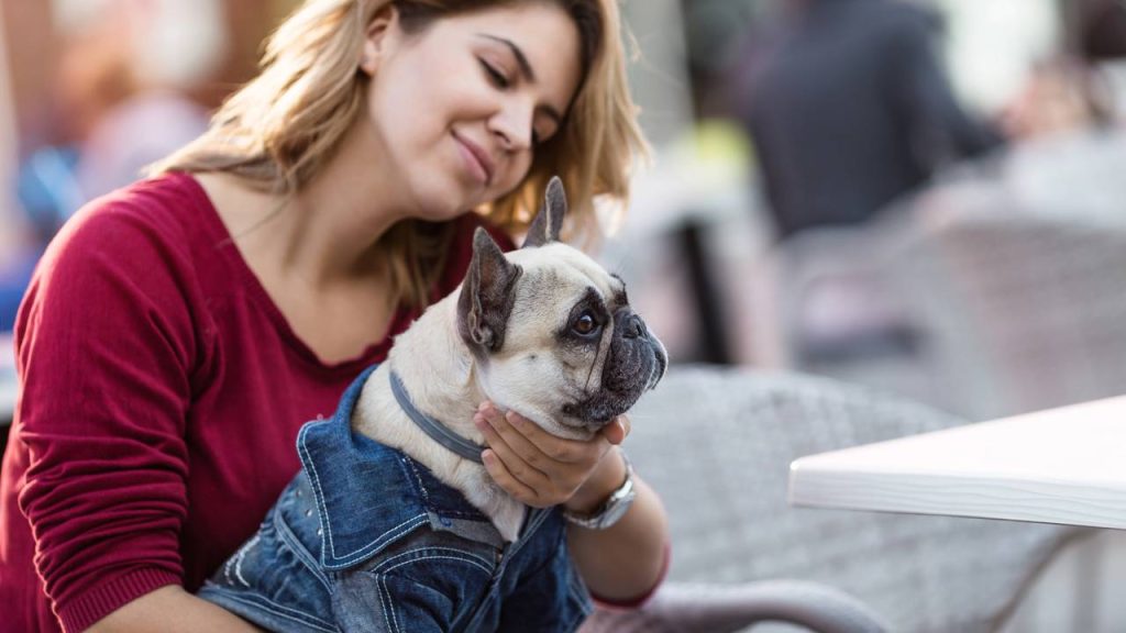 O que significa tratar seu cão como um bebê, de acordo com especialistas?