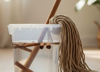 Adicionar canela à água de limpeza: funciona de verdade ou é apenas mito?