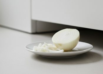 Como usar cebola para afastar baratas e evitar infestações em casa