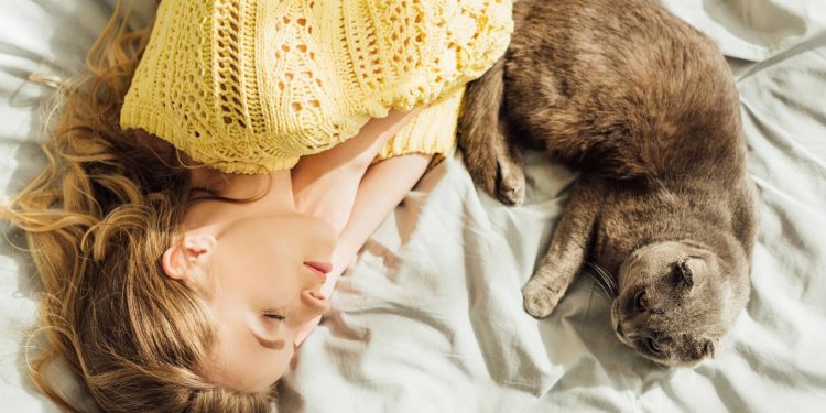 Especialistas dizem se dormir com seu pet é bom ou ruim para a saúde