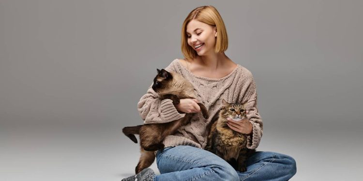 Estudos indicam que donos de gatos possuem inteligência emocional acima da média