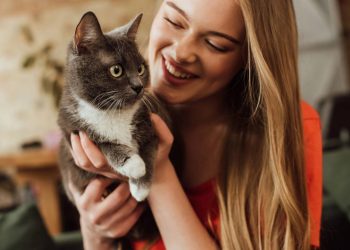 Quais são os benefícios de ter gatos em casa, de acordo com a ciência?