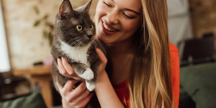 Quais são os benefícios de ter gatos em casa, de acordo com a ciência?
