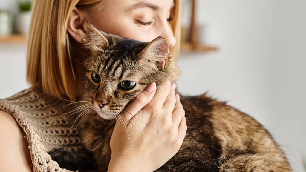 Quais são os benefícios de ter gatos em casa, de acordo com a ciência?