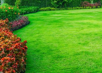 Como manter seu gramado verde o ano todo com dois ingredientes naturais e baratos