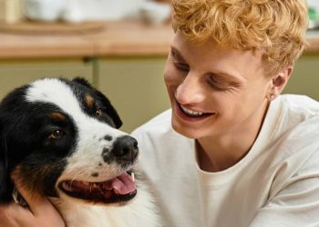 Como adaptar sua casa para deixar seu pet mais seguro e confortável