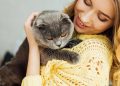 Como os gatos influenciam o equilíbrio energético e emocional em nossas vidas