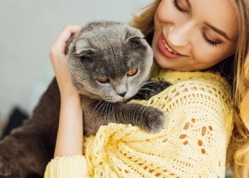Como os gatos influenciam o equilíbrio energético e emocional em nossas vidas