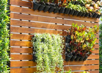 Quanto custa montar um jardim vertical pequeno e charmoso em casa sem gastar muito?