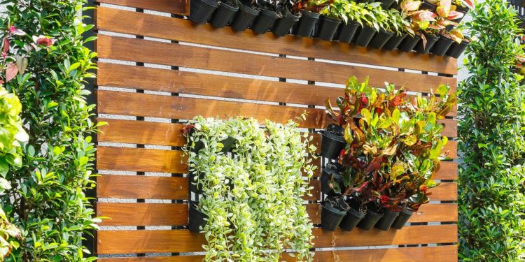Quanto custa montar um jardim vertical pequeno e charmoso em casa sem gastar muito?