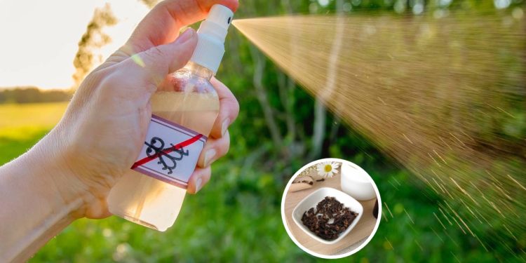 Dois ingredientes que afastam insetos e deixam a casa cheirosa