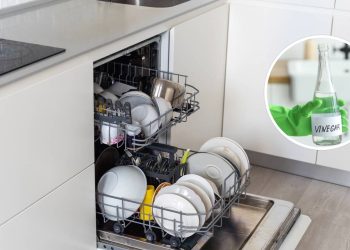 O vinagre realmente é seguro na máquina de lavar louça ou pode causar prejuízo?