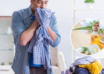 Como preparar um perfume caseiro para fazer suas roupas parecerem que acabaram de sair da loja