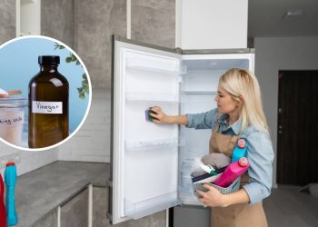 Como fazer a limpeza do freezer com bicabornato e vinagre de forma eficiente?