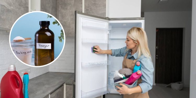 Como fazer a limpeza do freezer com bicabornato e vinagre de forma eficiente?