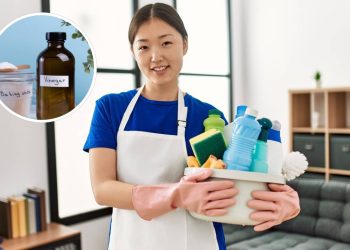 Transforme sua limpeza de casa com ingredientes naturais