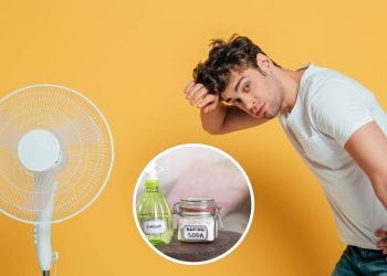 Solução que deixa o ventilador limpo, sem desmontá-lo
