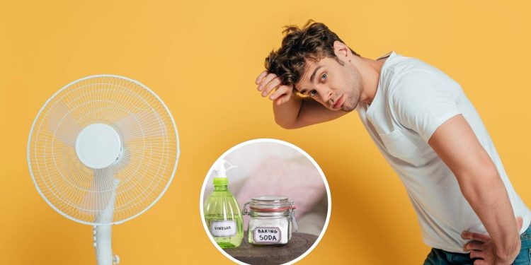Solução que deixa o ventilador limpo, sem desmontá-lo