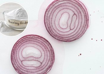 O poder da cebola com bicarbonato no controle de pragas