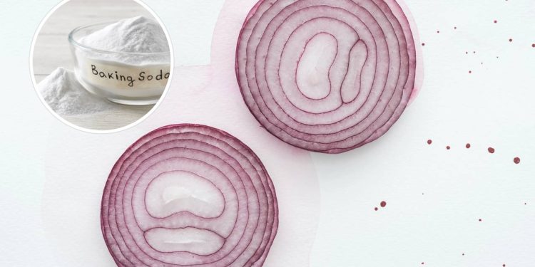 O poder da cebola com bicarbonato no controle de pragas