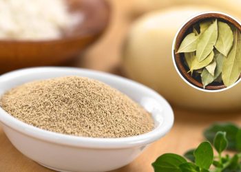 Mistura natural de fermento com louro deixa sua cozinha impecável