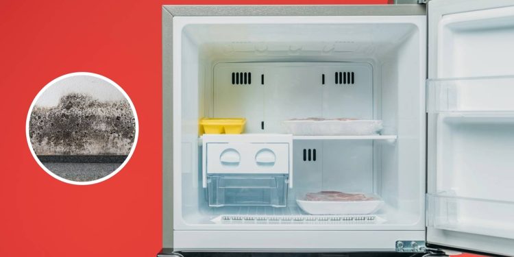 Como limpar o mofo da borracha do freezer com segurança?
