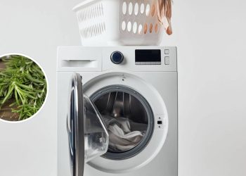 Roupas mais limpas e perfumadas com um simples ramo de alecrim fresco