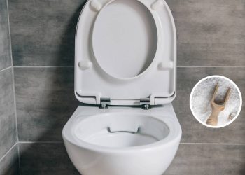 Colocar sal na privada durante a noite pode mudar o aspecto do vaso e facilitar a limpeza