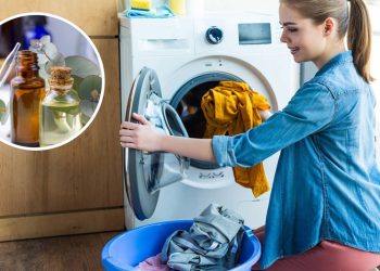 O aroma do eucalipto muda o resultado da lavagem das roupas