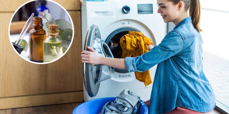 O aroma do eucalipto muda o resultado da lavagem das roupas