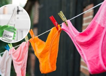 Por que muita gente usa vinagre para lavar a roupa íntima?