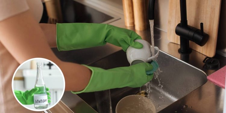 Como o vinagre transforma a lavagem de louças de forma natural