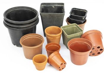 Por que os vasos de planta têm furinhos no fundo? Saiba o motivo