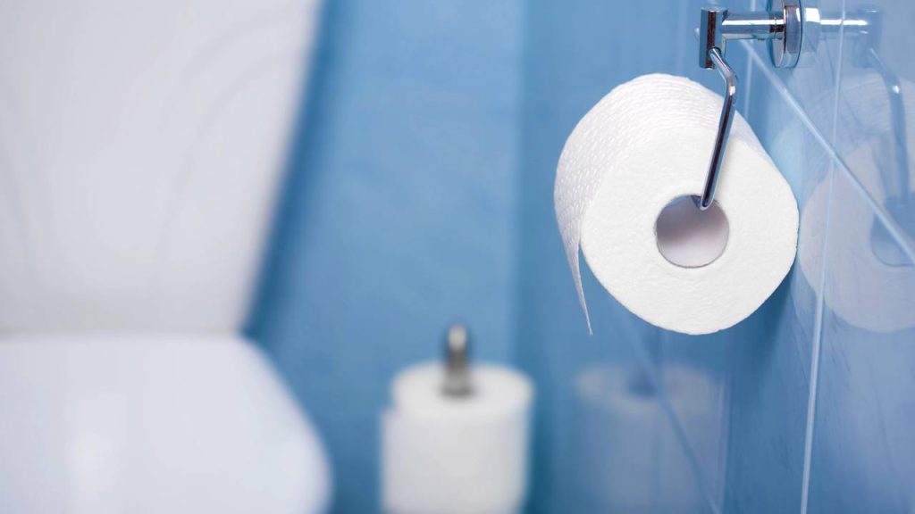 papel higiênico 
