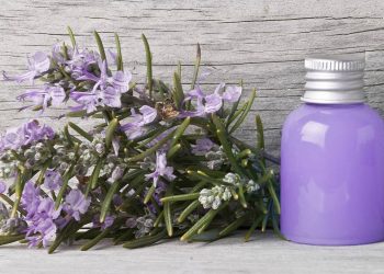 Como preparar e usar shampoo de alecrim e babosa para estimular o crescimento do cabelo
