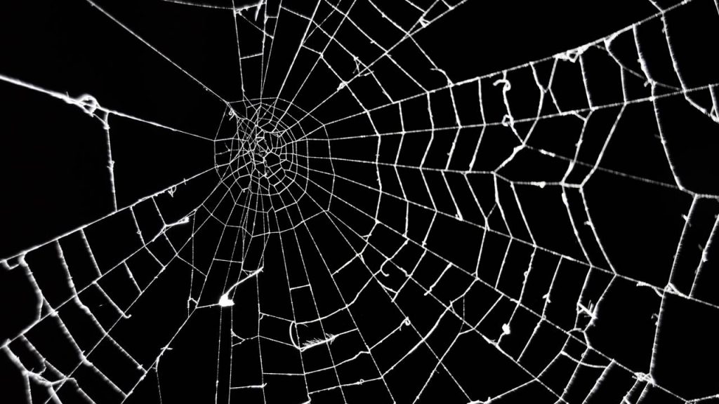 teias de aranha 