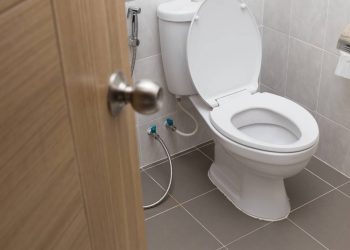 Por que a maioria dos vasos sanitários são brancos?