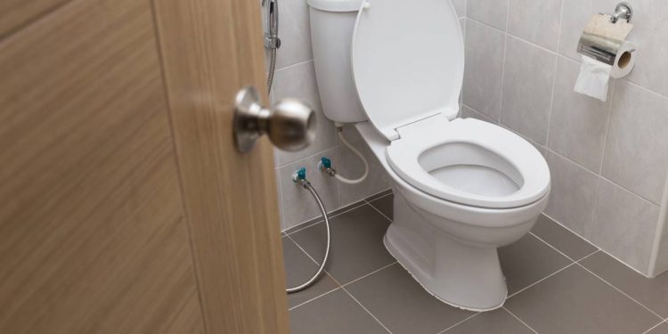 Por que a maioria dos vasos sanitários são brancos?