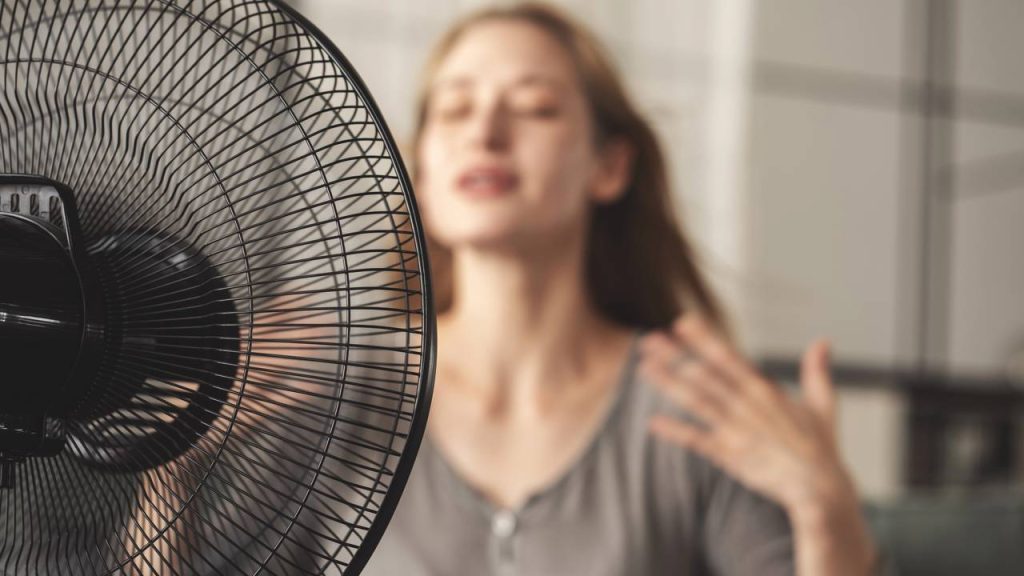 ventilador 